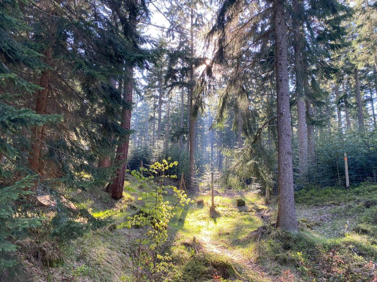 Willa Gencjana Szklarska Poręba Exteriör bild